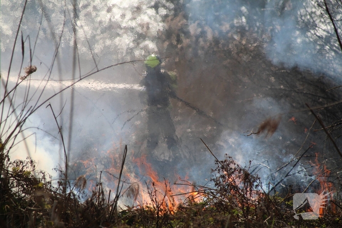 Brand verwoest riet langs het water