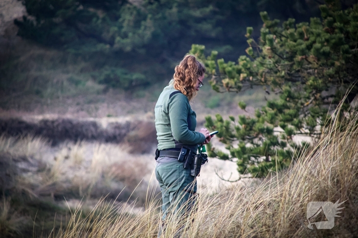 Brand in duingebied snel onder controle
