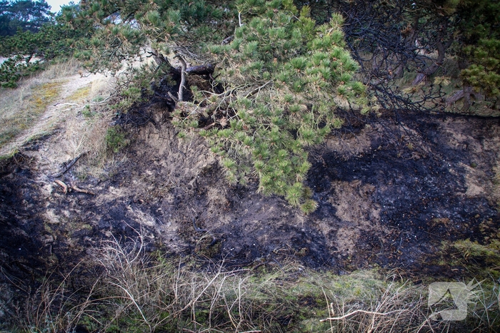 Brand in duingebied snel onder controle