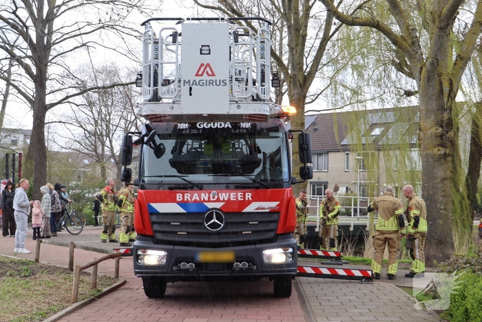 Brandweer redt kat uit boom