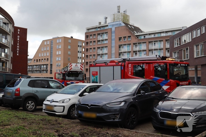Brandweer redt kat uit boom