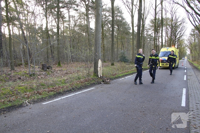 Auto botst tegen boom met bestuurder gewond