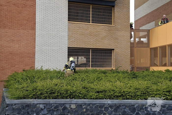 Brandende bosschages snel geblust