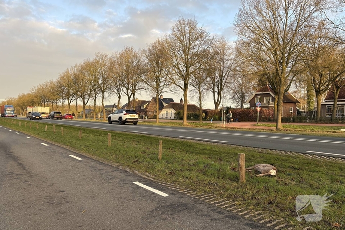 Auto rijdt ree aan op drukke weg