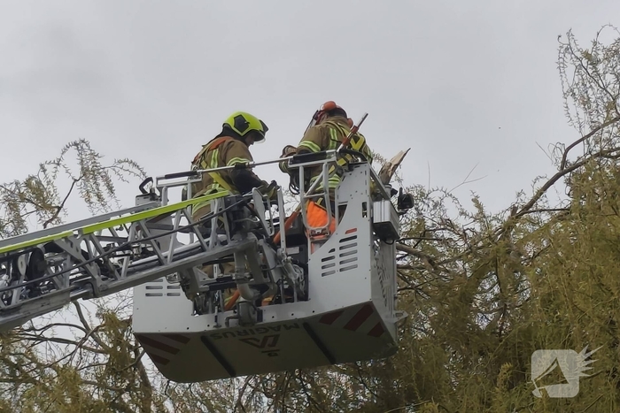 Brandweer verwijdert gevaarlijk hangende takken