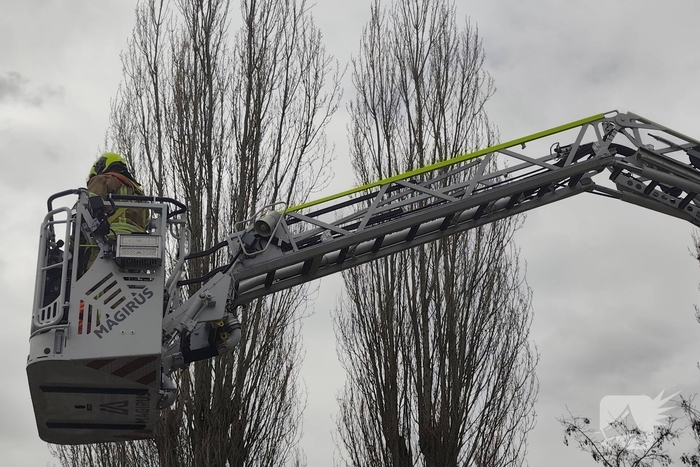 Brandweer verwijdert gevaarlijk hangende takken