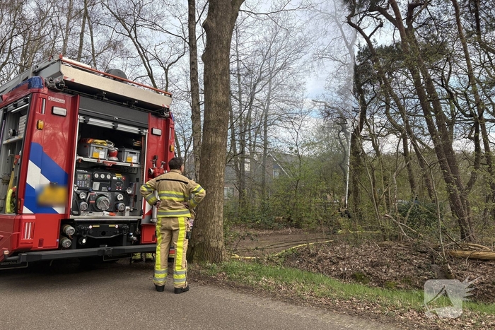 Brandweer redt kat uit boom