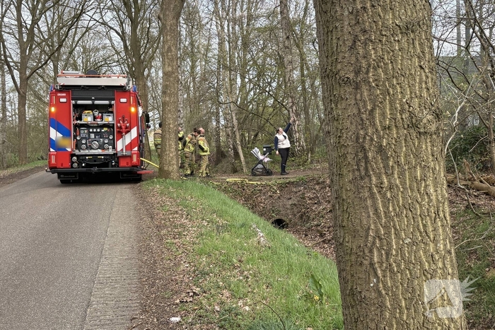 Brandweer redt kat uit boom