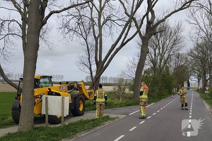 Gevaarlijke situatie door dreigende boomval