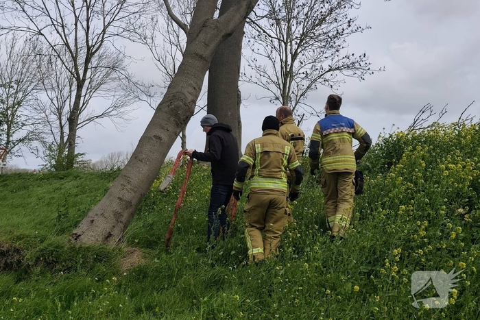 Gevaarlijke situatie door dreigende boomval