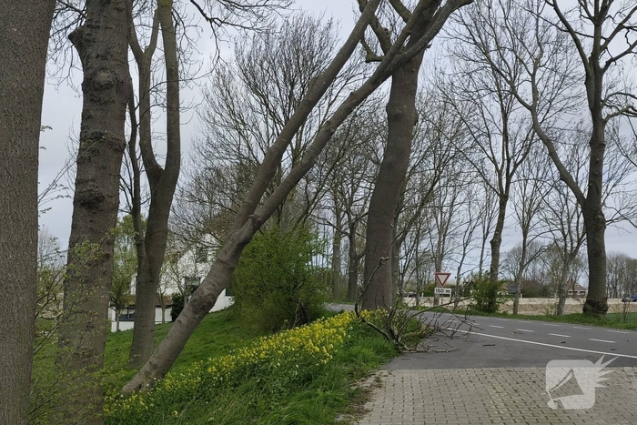 Gevaarlijke situatie door dreigende boomval