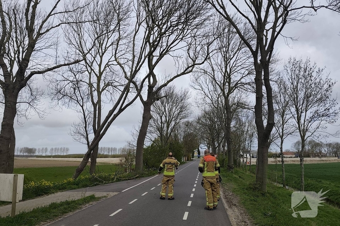 Gevaarlijke situatie door dreigende boomval