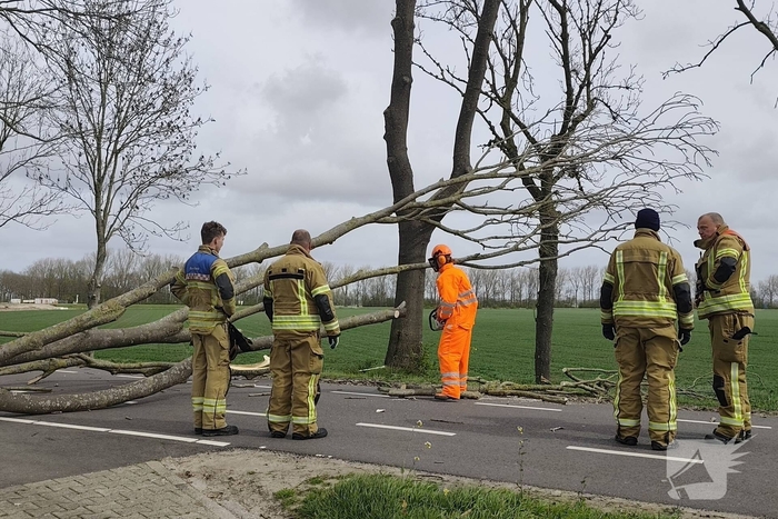 Gevaarlijke situatie door dreigende boomval