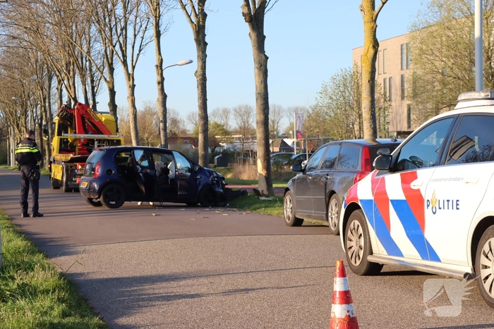 Bestuurder botst tegen boom