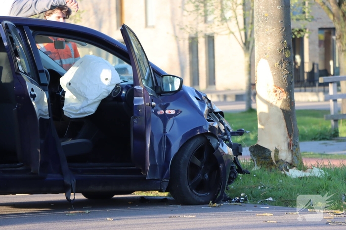 Bestuurder botst tegen boom