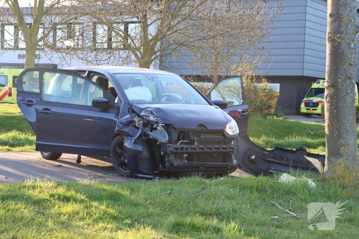 Bestuurder botst tegen boom