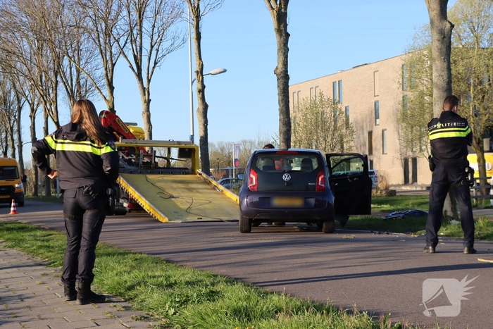 Bestuurder botst tegen boom