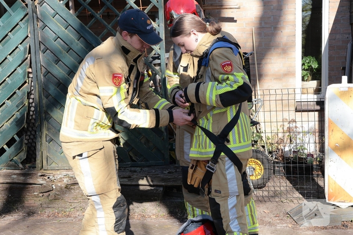 Brandweer redt kat uit boom