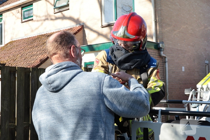 Brandweer redt kat uit boom
