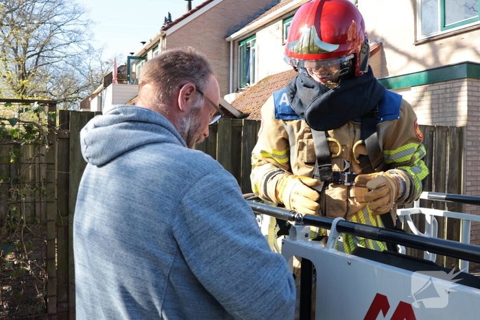 Brandweer redt kat uit boom