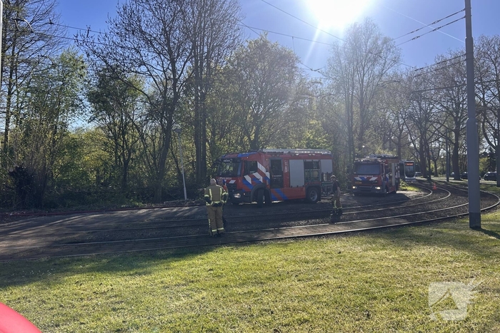 Natuurgebied in vlammen, tram- en busverkeer gestremd