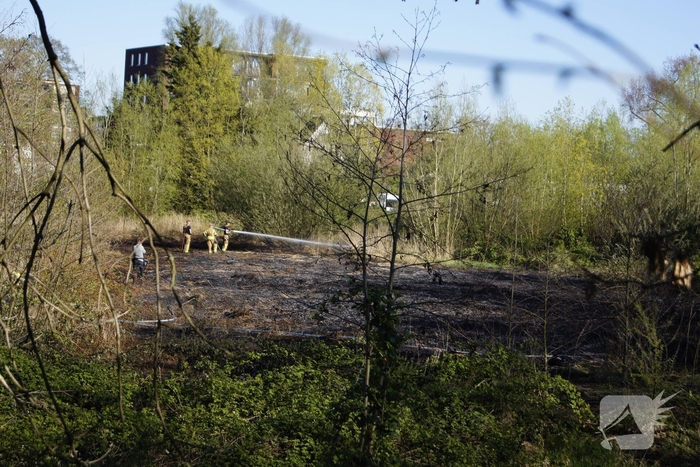 Natuurgebied in vlammen, tram- en busverkeer gestremd