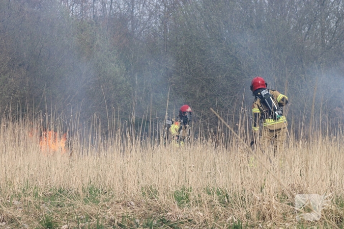 Brand in rietgebied snel geblust