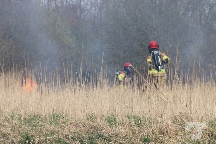 Brand in rietgebied snel geblust