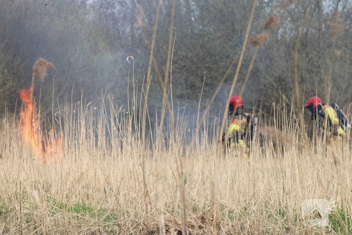 Brand in rietgebied snel geblust
