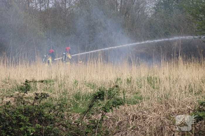 Brand in rietgebied snel geblust