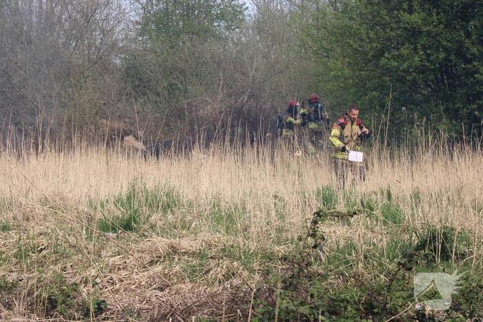 Brand in rietgebied snel geblust