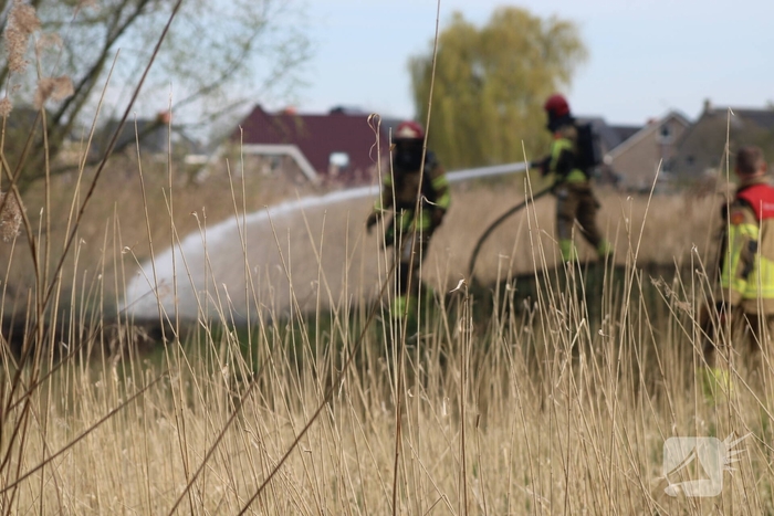 Brand in rietgebied snel geblust