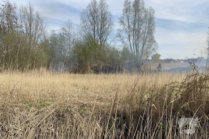 Brand in rietgebied snel geblust