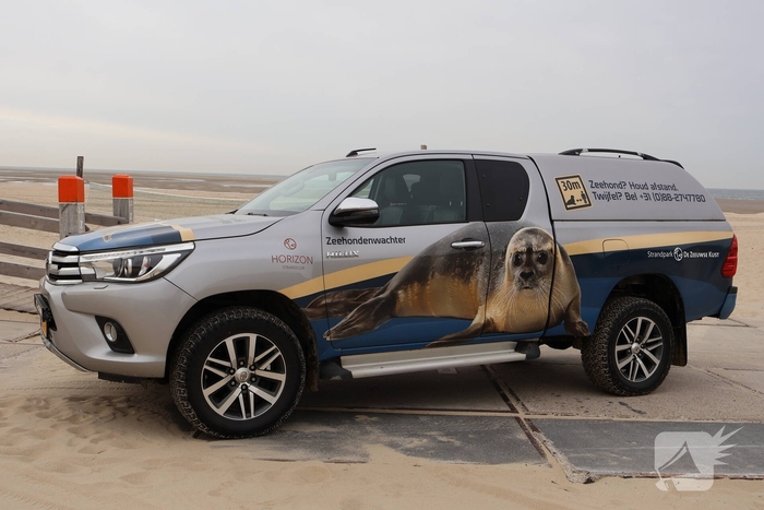 Dode potvis aangespoeld bij strand