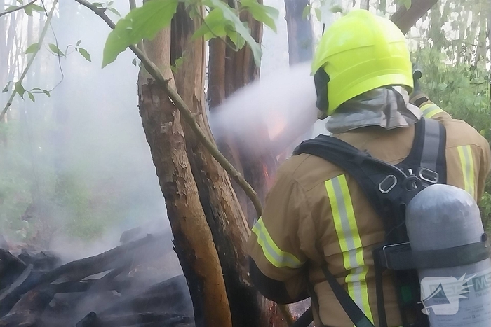 Brand in bosschages op eiland geblust door brandweer