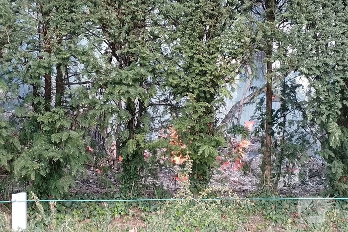 Grote coniferenhaag vliegt in brand