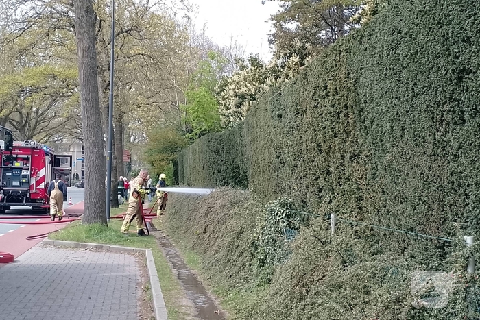 Grote coniferenhaag vliegt in brand