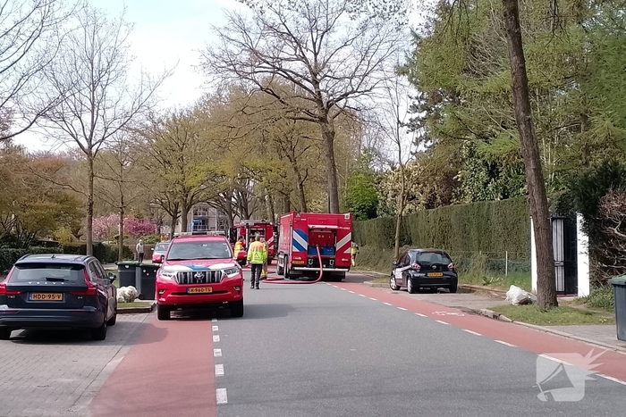 Grote coniferenhaag vliegt in brand