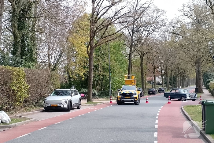 Grote coniferenhaag vliegt in brand