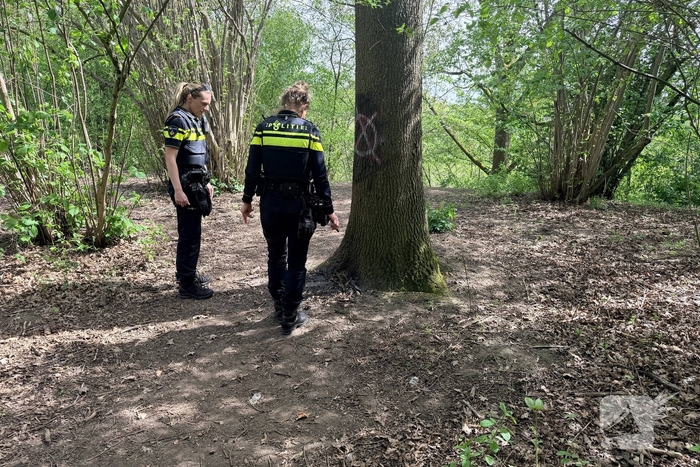 Jongeren steken boom in brand in Veghel