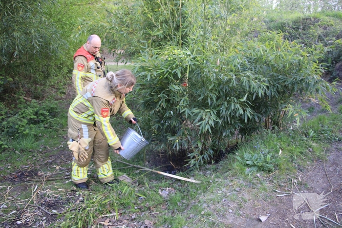 Jeugd ontdekt brand en schakelt hulpdiensten in