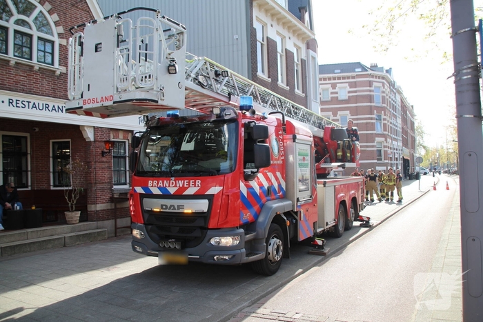 Brandweer redt neilganzen uit schoorsteen
