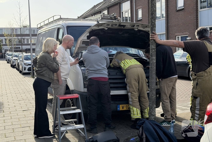 Kat in motorcompartiment, brandweer ingezet