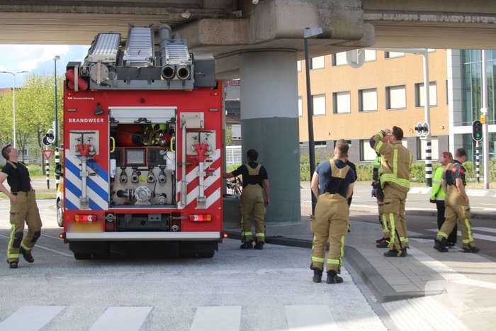 Brandweer redt duiven uit benarde situatie