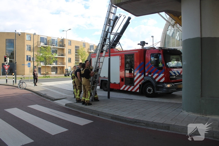 Brandweer redt duiven uit benarde situatie