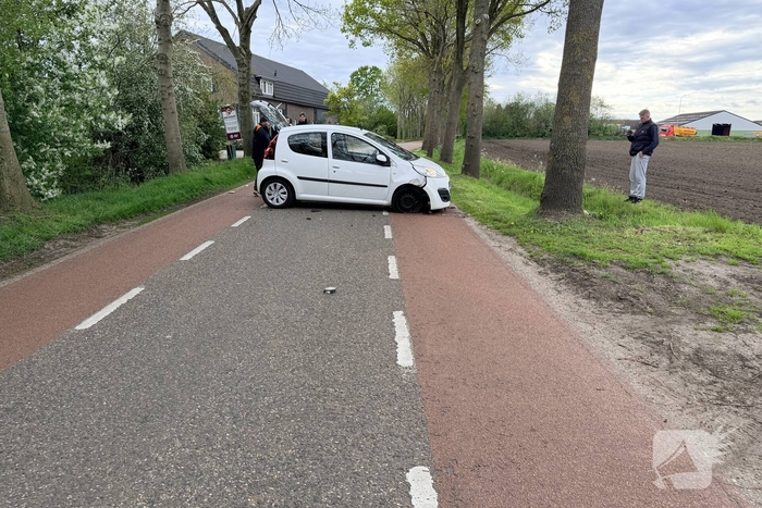 Auto botst tegen boom, bestuurder ongedeerd