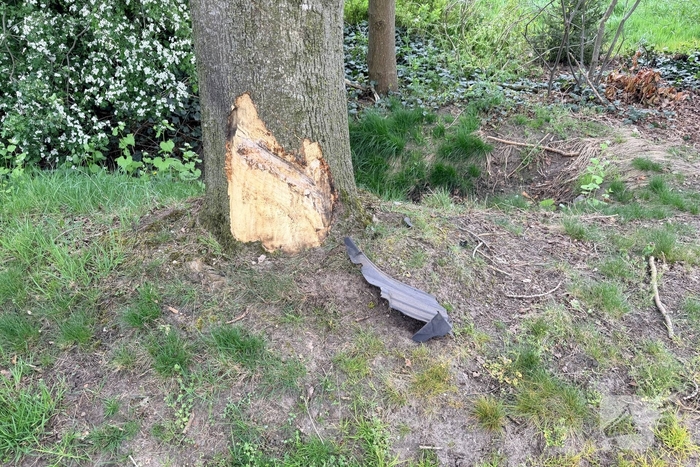 Auto botst tegen boom, bestuurder ongedeerd