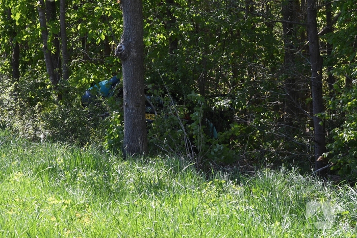Bestuurster rakelings langs bomen bij ongeval