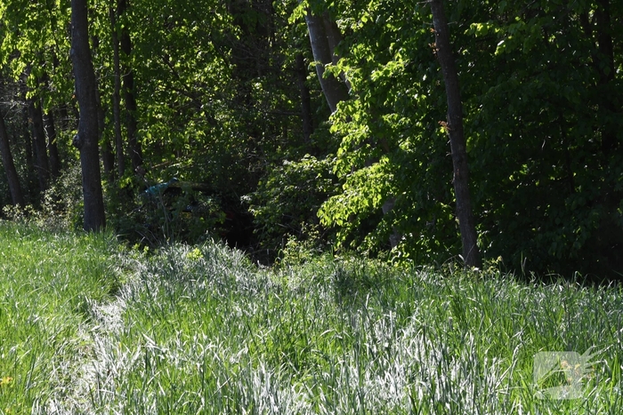 Bestuurster rakelings langs bomen bij ongeval