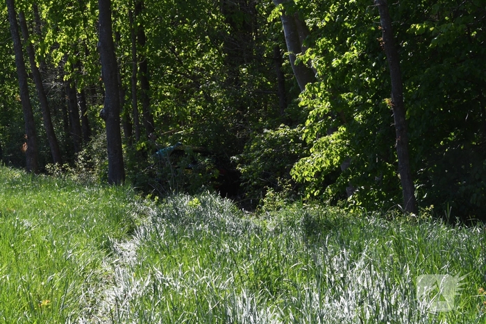 Bestuurster rakelings langs bomen bij ongeval
